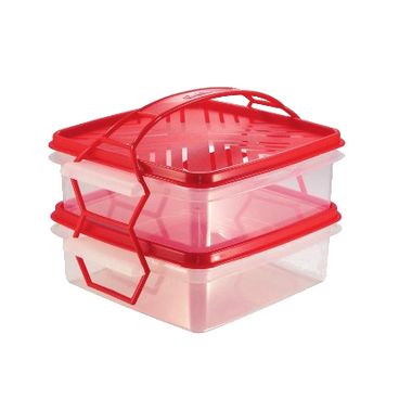 Recipientes-de-Plastico-com-Tampa-e-Alca--2-unid-