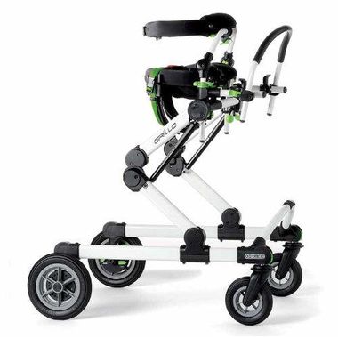 Andarilho-Grillo-Anterior-PT--Sup-Pelvico-e-Tronco-