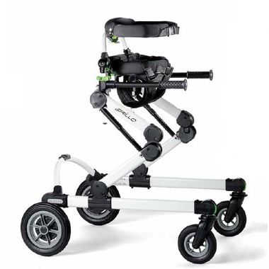 Andarilho-Grillo-Posterior-PT--Sup-Pelvico-e-Tronco-